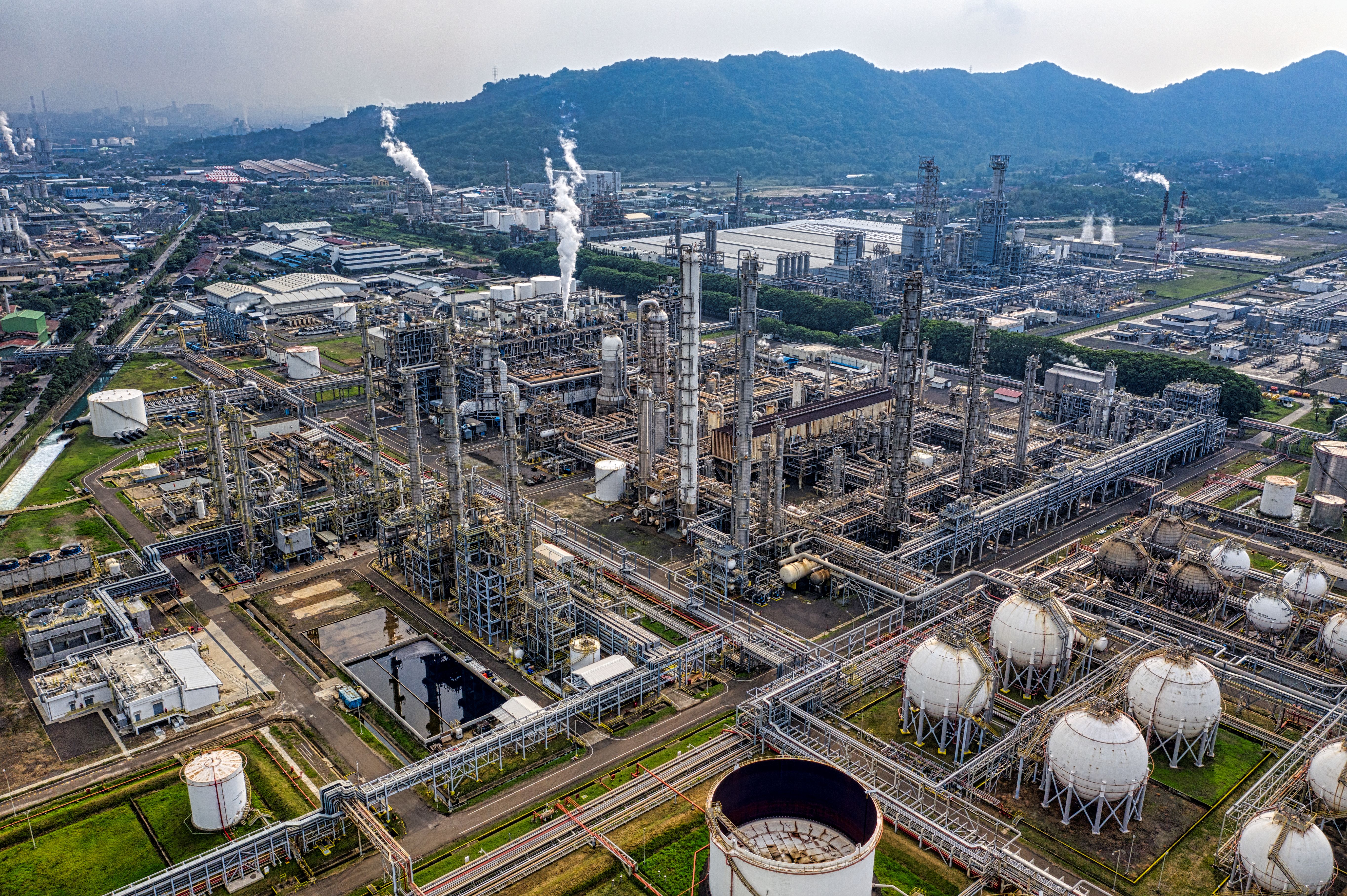 Petrochemical plant