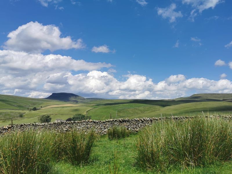 Yorkshire Dales